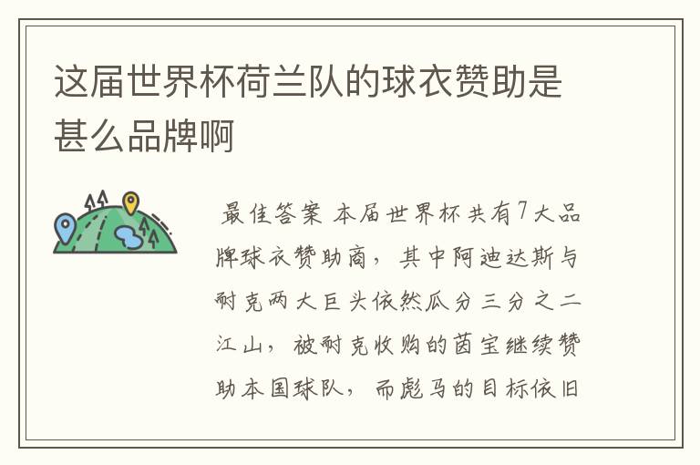 这届世界杯荷兰队的球衣赞助是甚么品牌啊