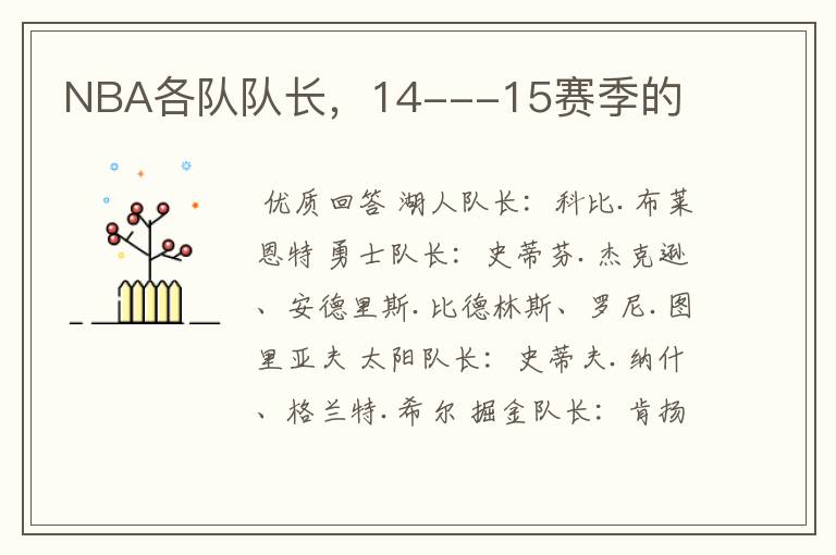 NBA各队队长,14---15赛季的