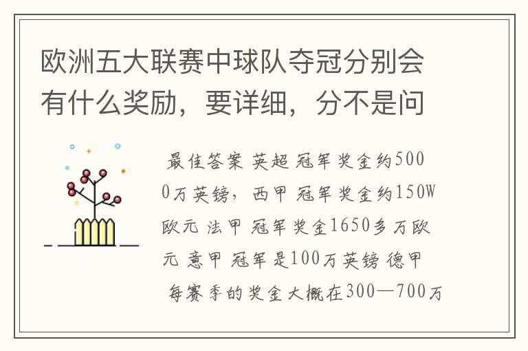 欧洲五大联赛中球队夺冠分别会有什么奖励,要详细,分不是问题