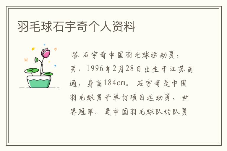 羽毛球石宇奇个人资料