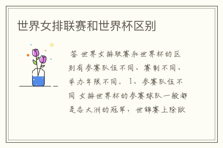 世界女排联赛和世界杯区别