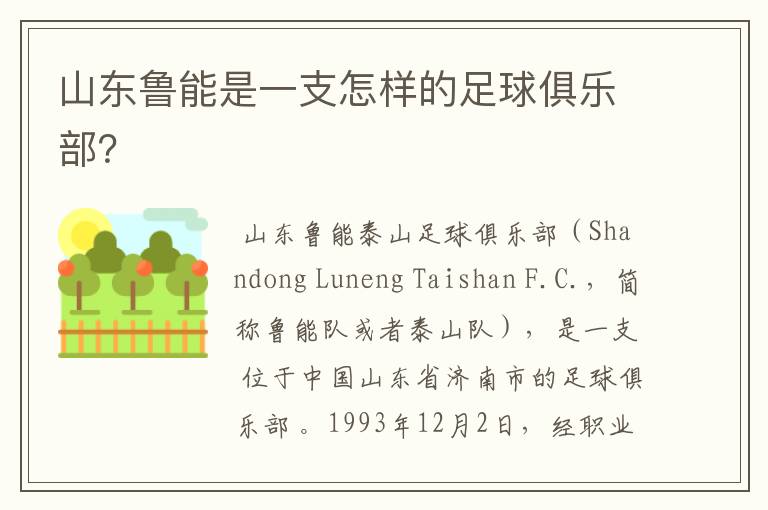 山东鲁能是一支怎样的足球俱乐部?