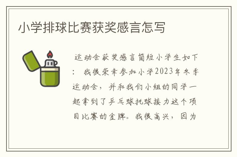 小学排球比赛获奖感言怎写