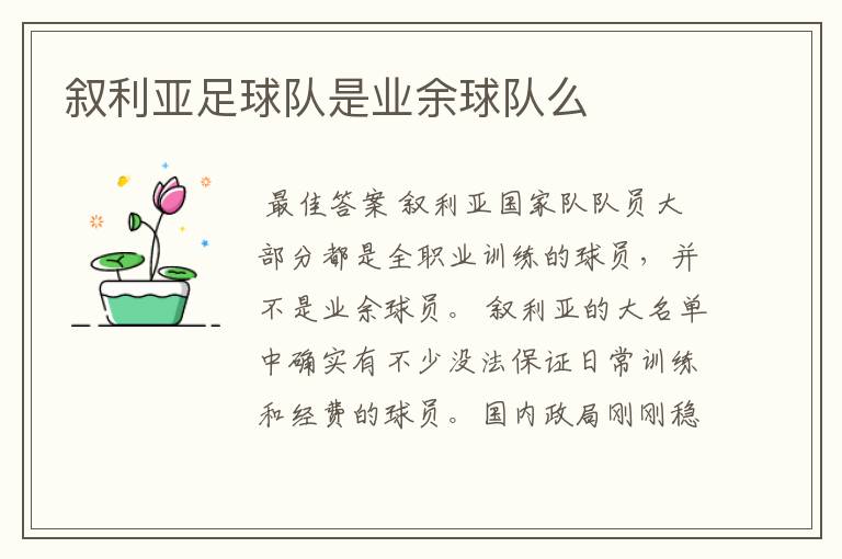 叙利亚足球队是业余球队么