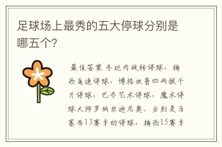 足球场上最秀的五大停球分别是哪五个？