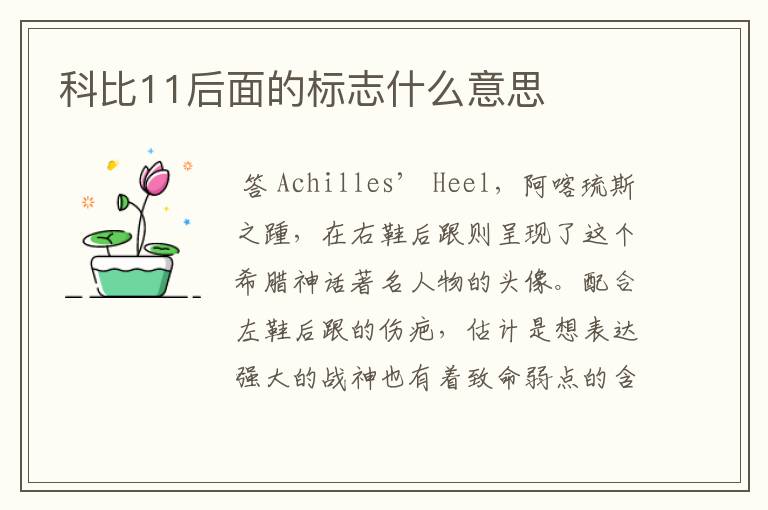 科比11后面的标志什么意思