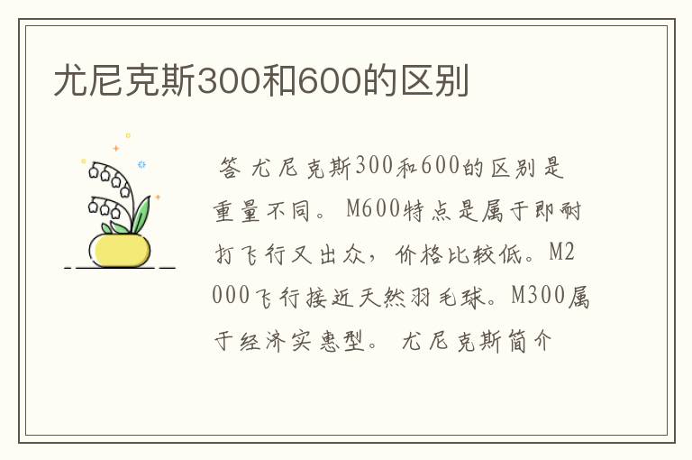 尤尼克斯300和600的区别