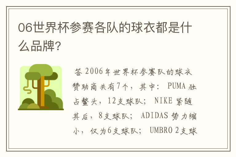 06世界杯参赛各队的球衣都是什么品牌?