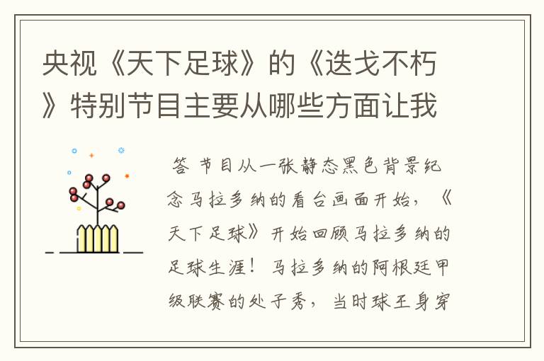 央视《天下足球》的《迭戈不朽》特别节目主要从哪些方面让我们了解了马拉多纳?