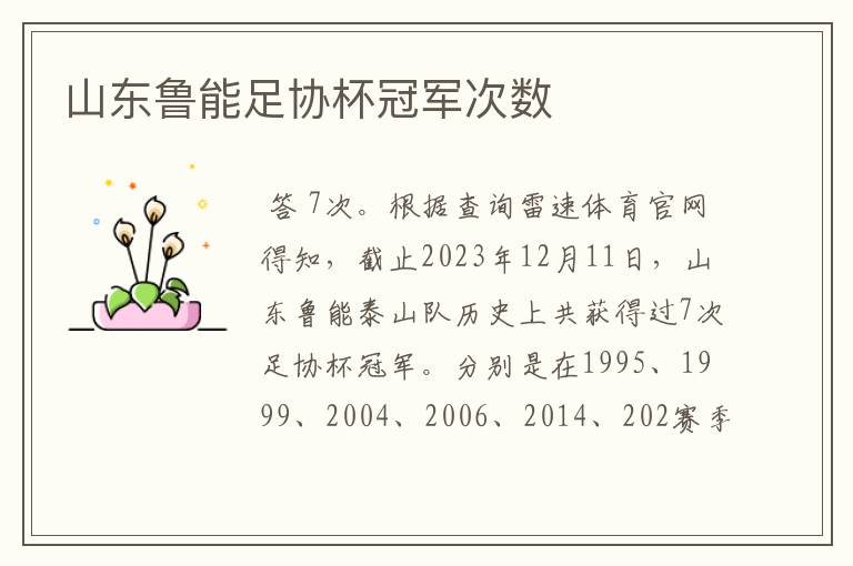 山东鲁能足协杯冠军次数