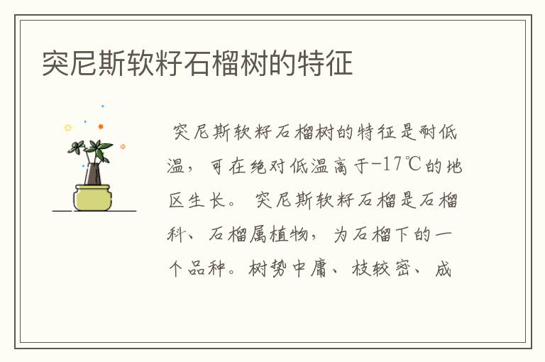 突尼斯软籽石榴树的特征