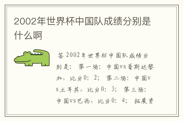 2002年世界杯中国队成绩分别是什么啊