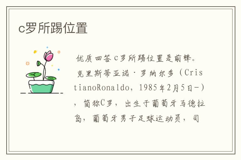 c罗所踢位置