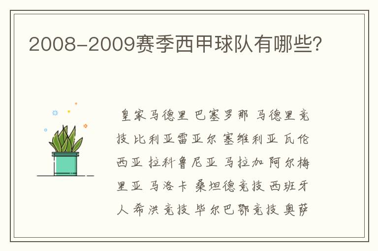 2008-2009赛季西甲球队有哪些？