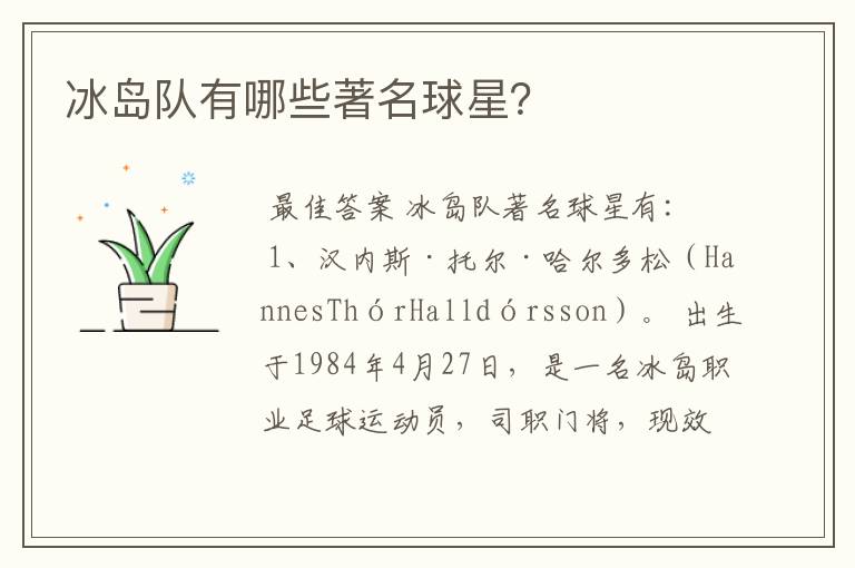 冰岛队有哪些著名球星?
