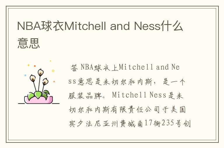 NBA球衣Mitchell and Ness什么意思