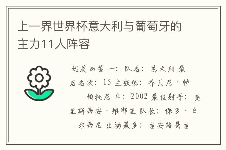上一界世界杯意大利与葡萄牙的主力11人阵容