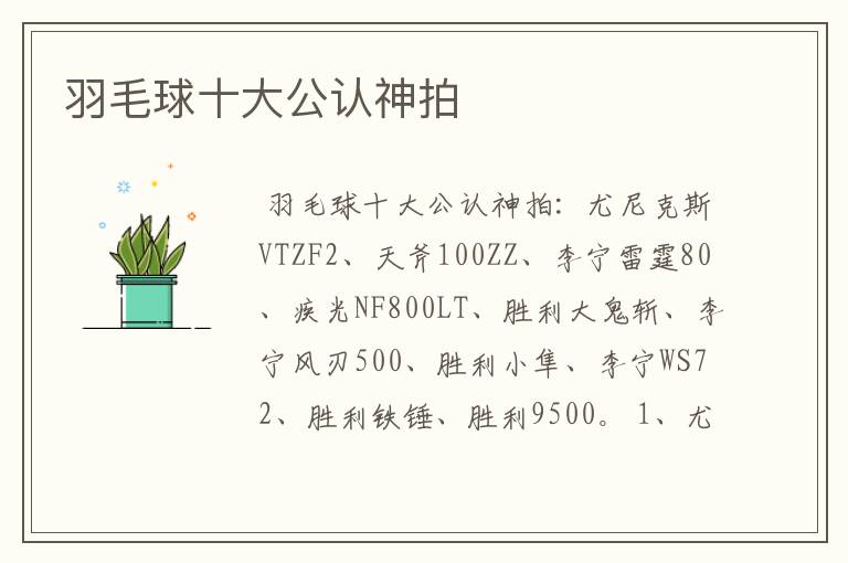 羽毛球十大公认神拍
