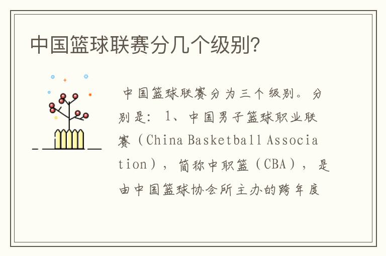 中国篮球联赛分几个级别?