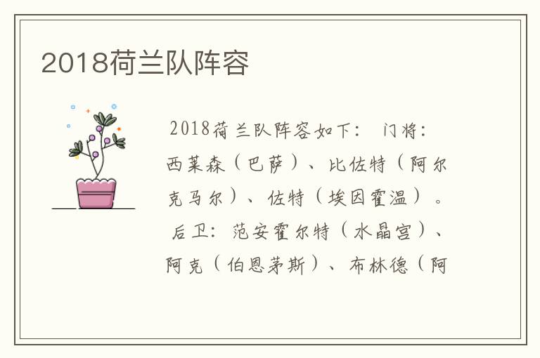 2018荷兰队阵容