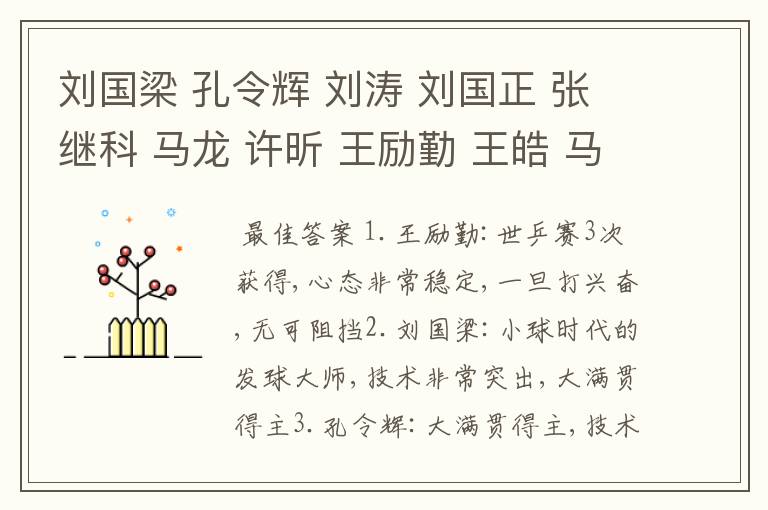 刘国梁 孔令辉 刘涛 刘国正 张继科 马龙 许昕 王励勤 王皓 马淋?