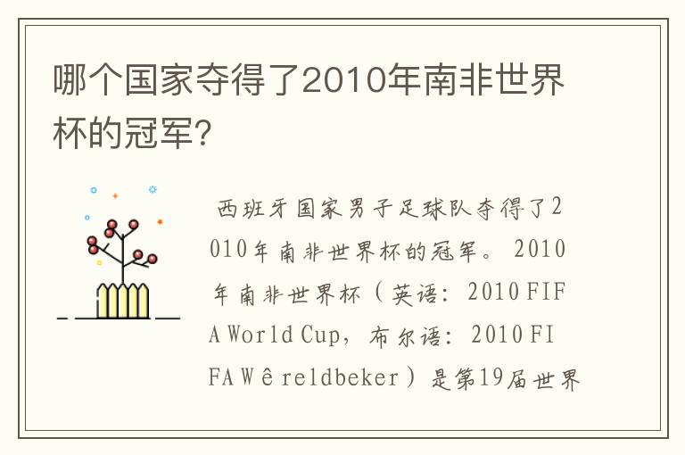 哪个国家夺得了2010年南非世界杯的冠军?