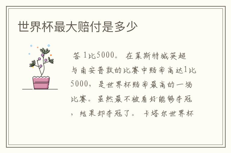 世界杯最大赔付是多少