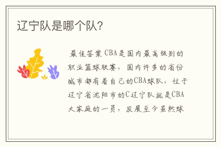 辽宁队是哪个队?