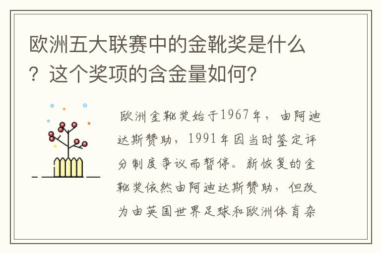 欧洲五大联赛中的金靴奖是什么?这个奖项的含金量如何?