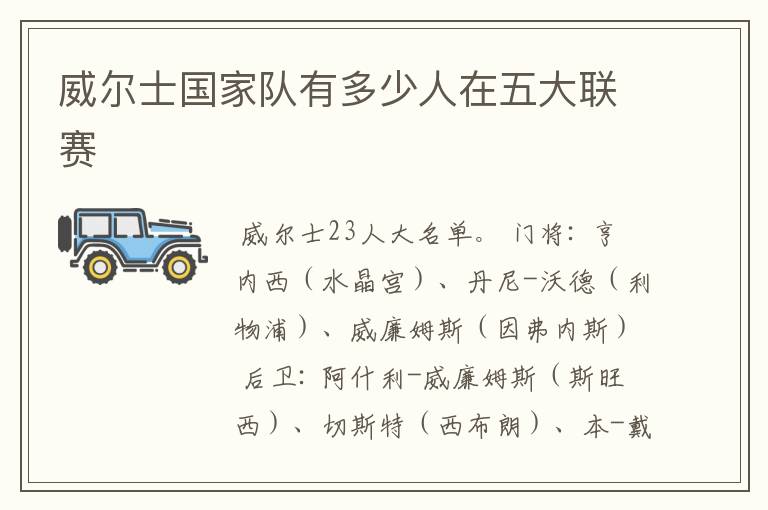 威尔士国家队有多少人在五大联赛