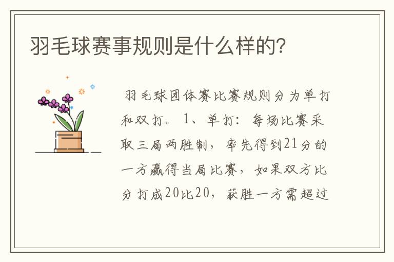 羽毛球赛事规则是什么样的?