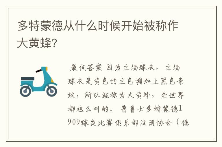 多特蒙德从什么时候开始被称作大黄蜂?