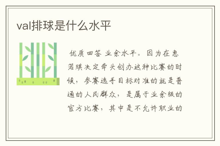 val排球是什么水平