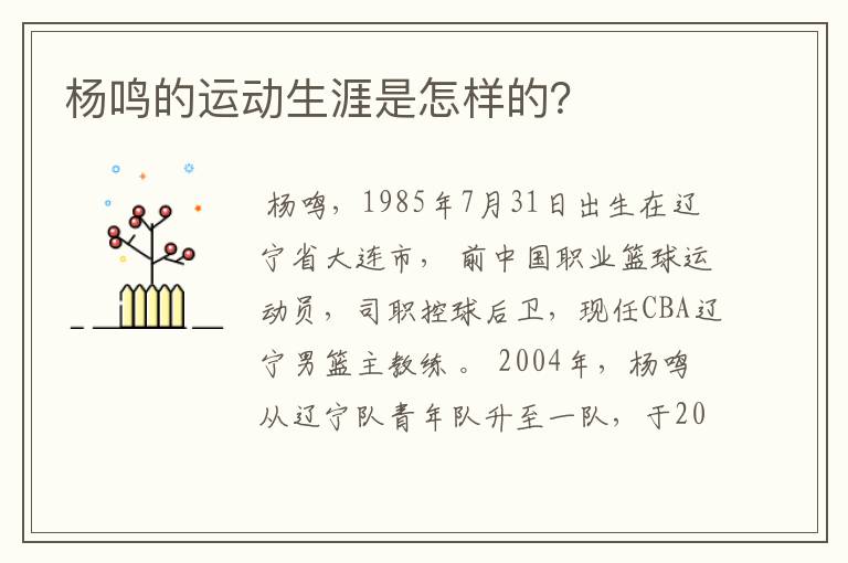 杨鸣的运动生涯是怎样的?
