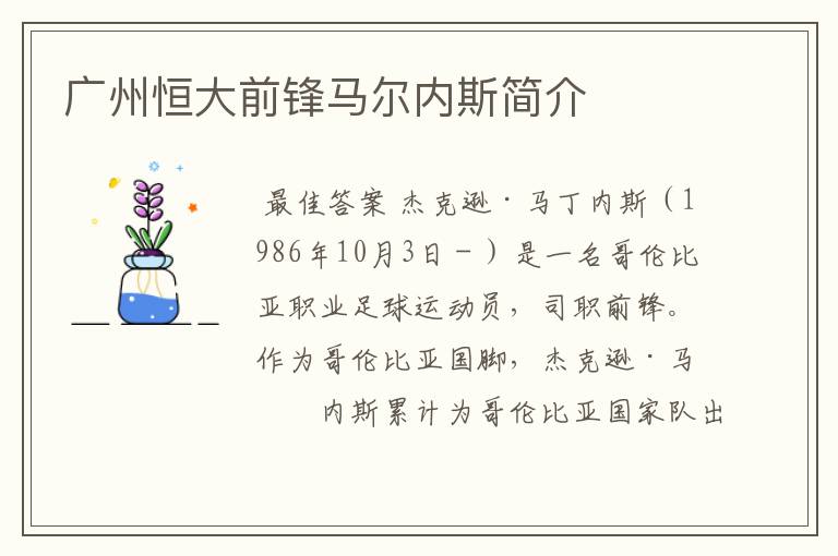 广州恒大前锋马尔内斯简介