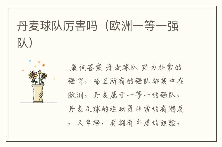 丹麦球队厉害吗(欧洲一等一强队)