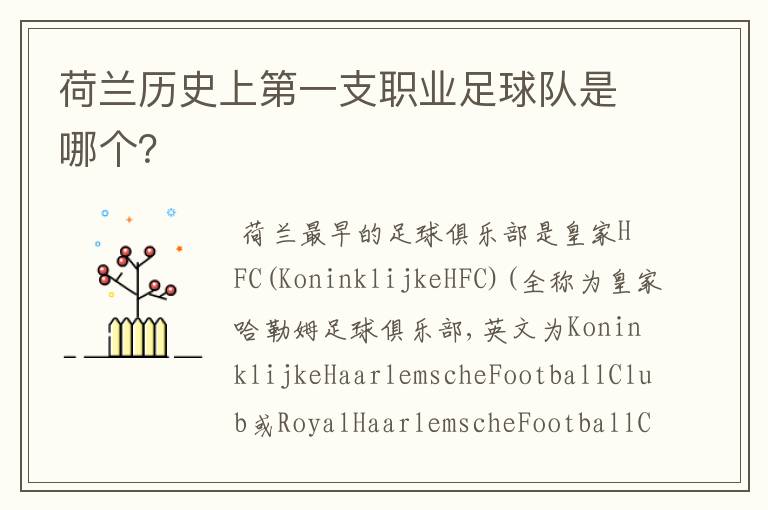 荷兰历史上第一支职业足球队是哪个?