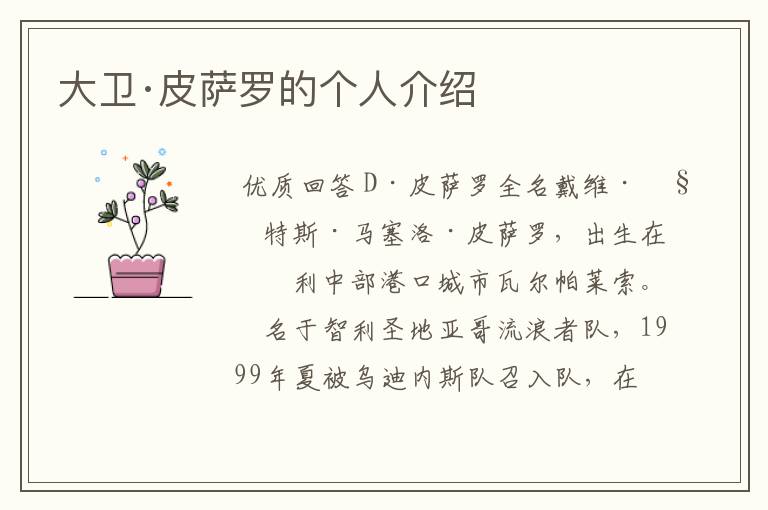 大卫·皮萨罗的个人介绍