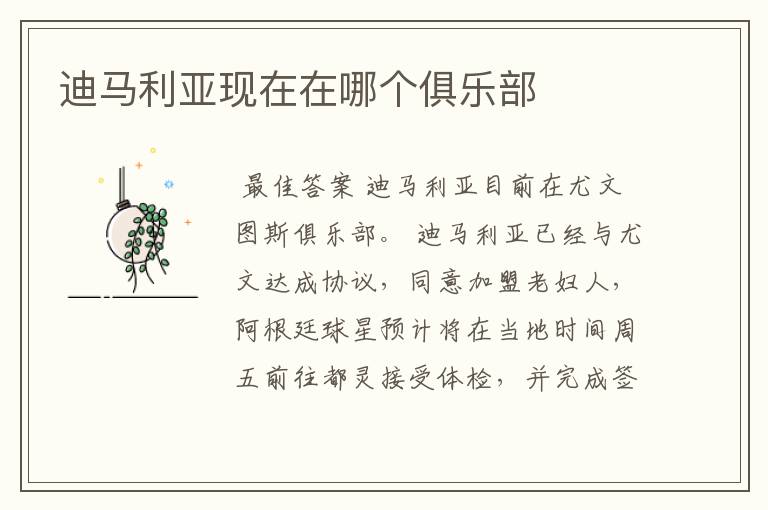 迪马利亚现在在哪个俱乐部