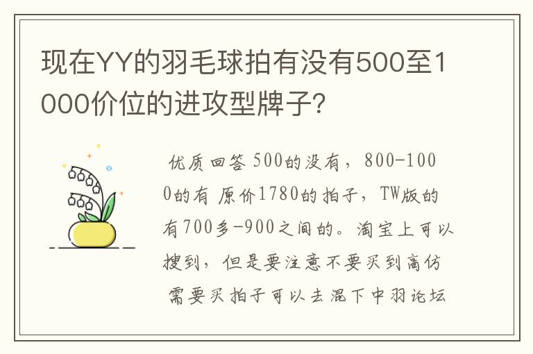现在YY的羽毛球拍有没有500至1000价位的进攻型牌子?