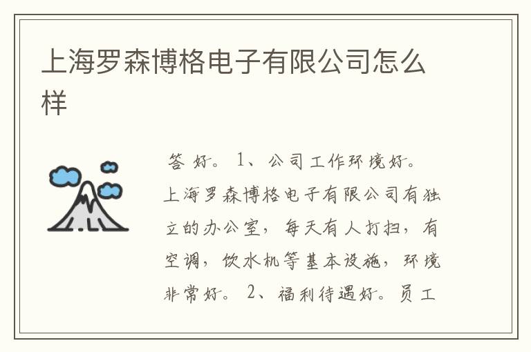 上海罗森博格电子有限公司怎么样