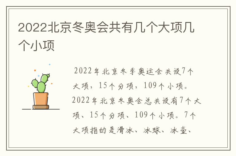 2022北京冬奥会共有几个大项几个小项
