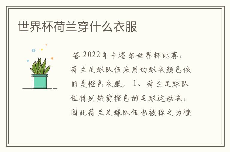 世界杯荷兰穿什么衣服