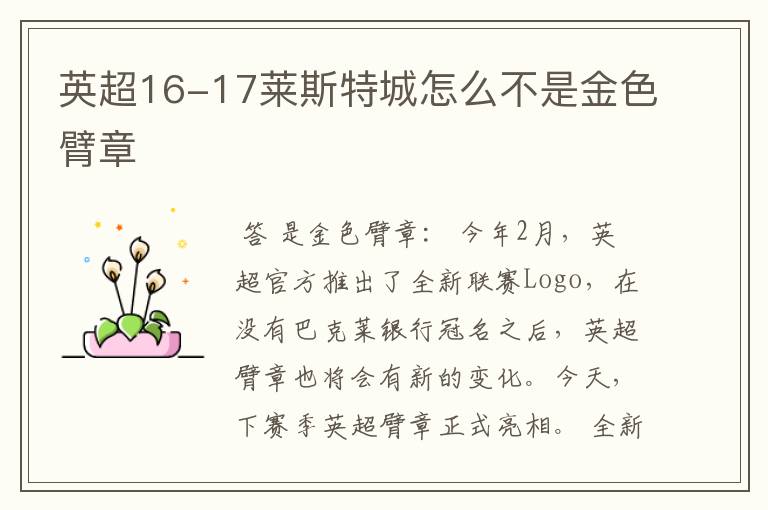 英超16-17莱斯特城怎么不是金色臂章
