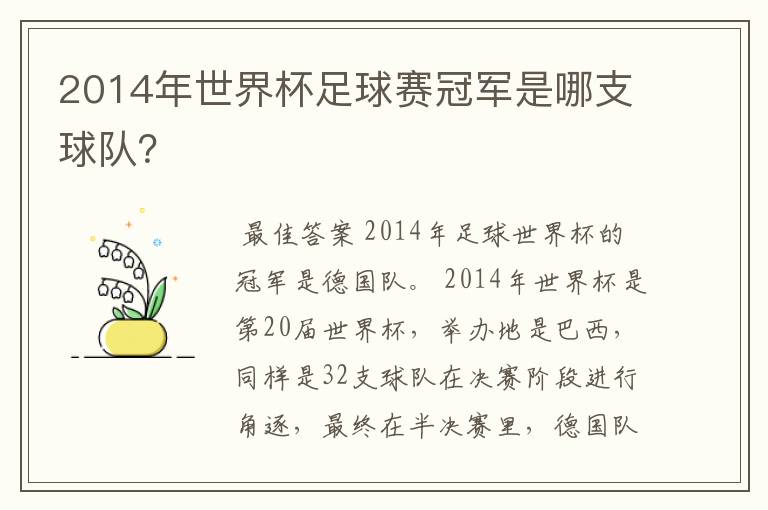 2014年世界杯足球赛冠军是哪支球队?