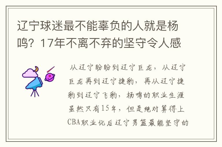 辽宁球迷最不能辜负的人就是杨鸣?17年不离不弃的坚守令人感动