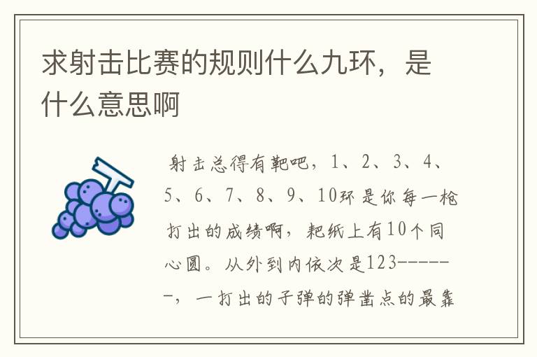 求射击比赛的规则什么九环,是什么意思啊