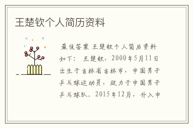 王楚钦个人简历资料