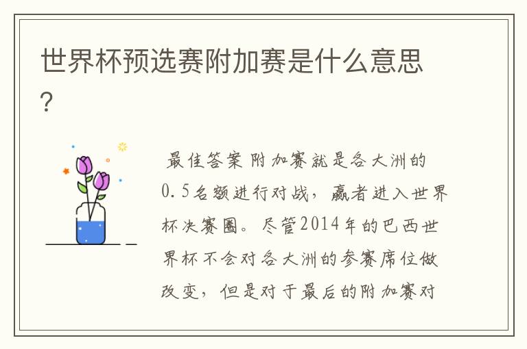 世界杯预选赛附加赛是什么意思?