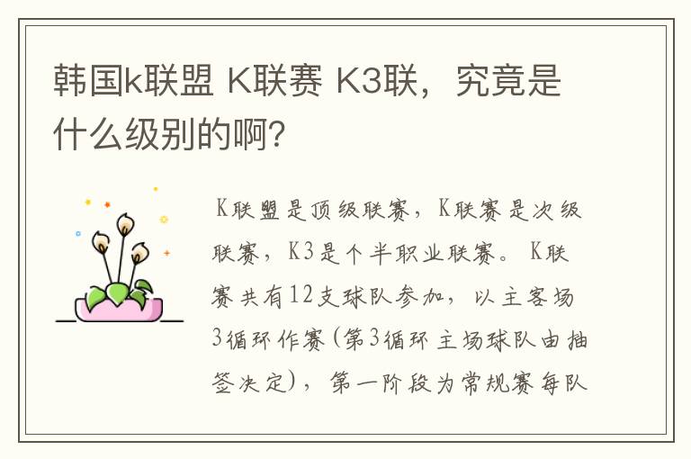 韩国k联盟 K联赛 K3联,究竟是什么级别的啊?